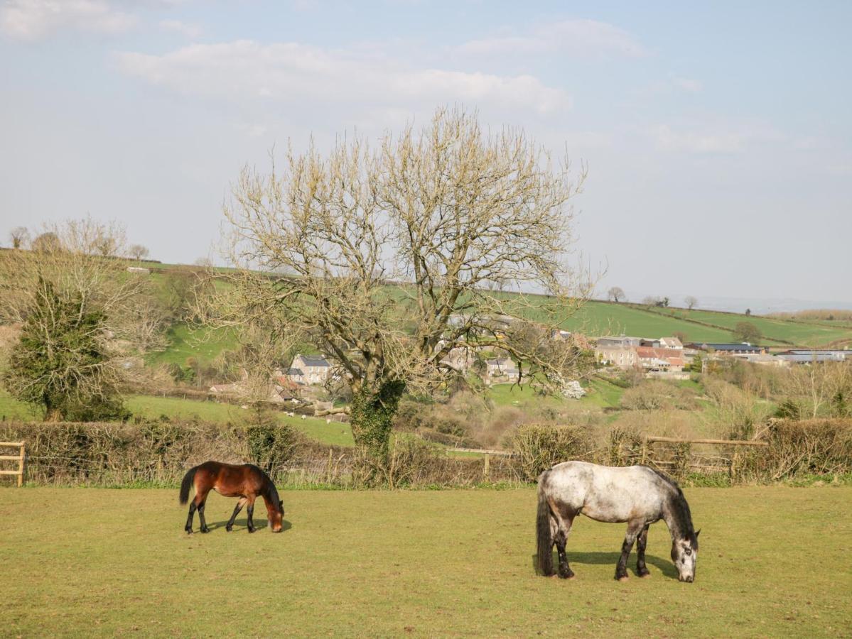 Annex Chetnole Villa Bristol Bagian luar foto